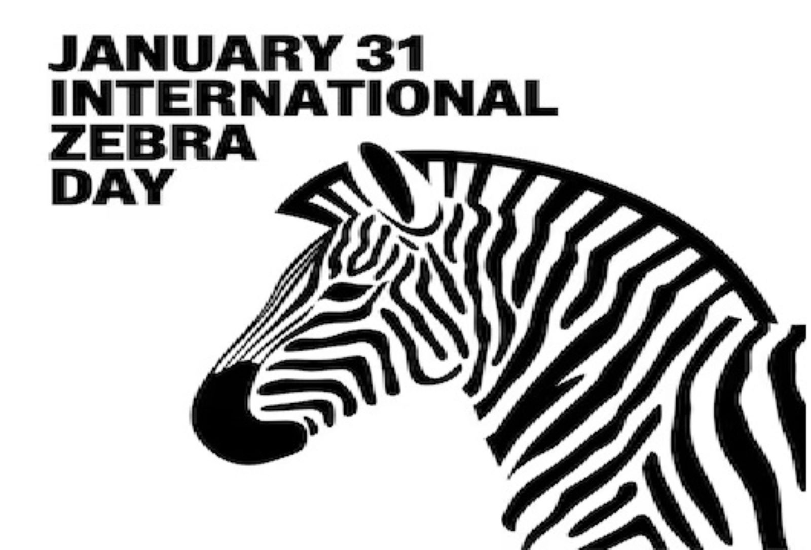 International Zebra Day: January 31